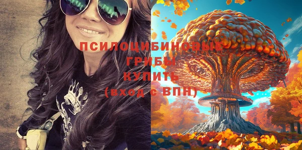 ешки Михайлов