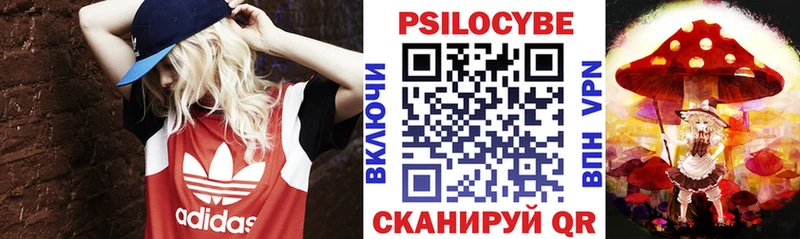 Купить закладки  Ессентукская  Галлюциногенные грибы MAGIC MUSHROOMS 
